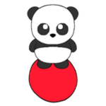 Surfer Panda