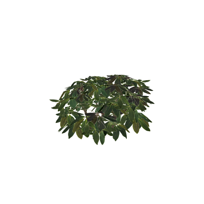 realistic bush mesh