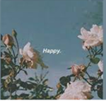 Butterflies_shop
