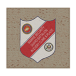 Marine Security Guard Detachment, Yemen