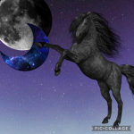 Moonlight Stables