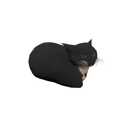 Maxwell