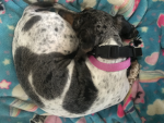 Daisy. Do.