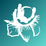 polynesian.rblx