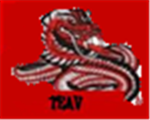 TEAV ( The Elite Assualt Vipers )