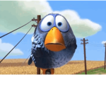 Zeroz