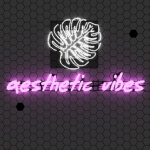 Aesthetic.Viibes