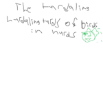 the turdilng ######### truds of birds in ##### kru