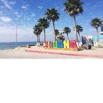 LosCracksDeTijuana