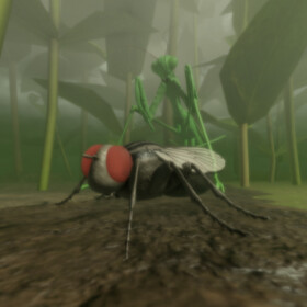 Insect Sandbox
