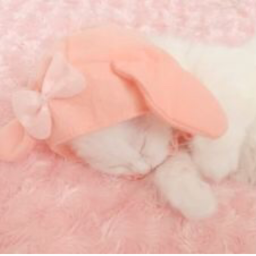 ♡