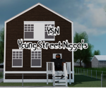 Y$N
