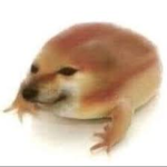 ello friends this is where u get epic