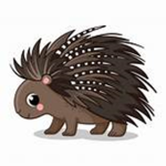THE PORCUPINES <3