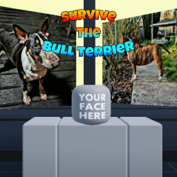 Survive The Bull Terrier