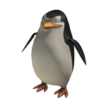 Skipper Suit