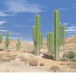 Wild West Simulator