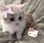 For my bestie 100$