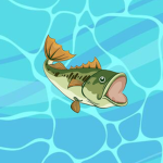 Broken Fish Studios