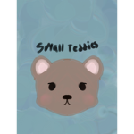 {•~ Small teddies ~•}