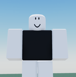 The Torso Order