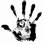 bleach hollows return vizard squad 11