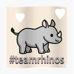 #teamrhinos