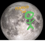 Mango’s mangos