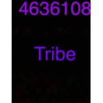 Tribute’s Group