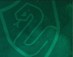 Slytherin Quidditch Team - Eternal HP Fans!