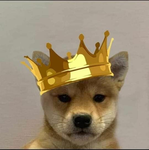 The Grand Shiba Inu Kingdom
