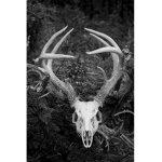 Deer Skull People