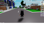 Ameli123456