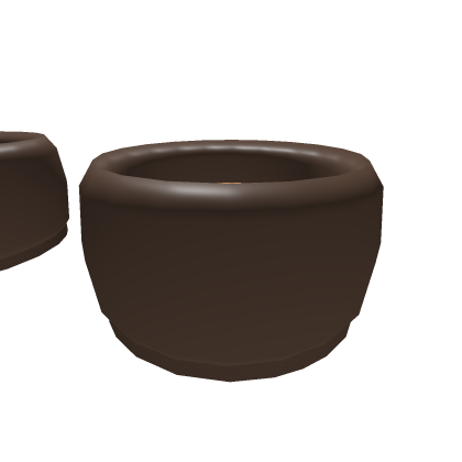 Pet's food and water bowls