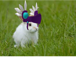 Donate Rabbit A "Valkyrie"