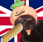 SassyCats
