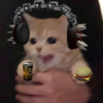 Gatos Dev