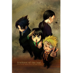 4Shinn