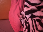 The Pink Tigers Gymnastics Academy