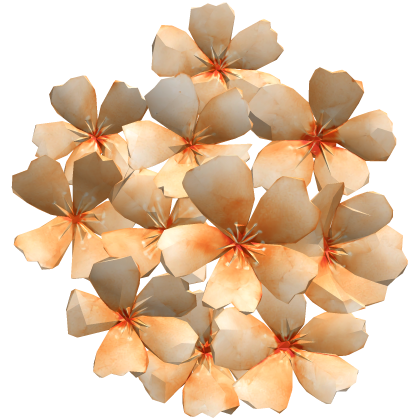 顔の花 orange sakura flower face cluster