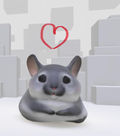 Chubby chinchilla fan club