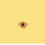 Sunshiny Sunflowers