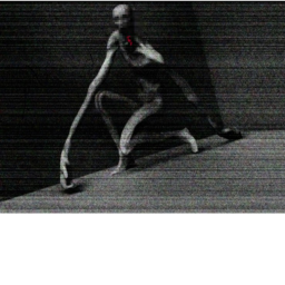 The L U N E R