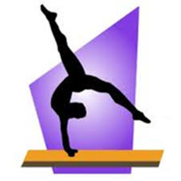 Fantastic Gymnastics