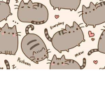 Pusheen Girls <3