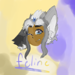 Feline ❇