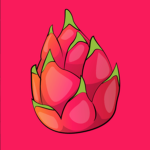 Dragonfruit Studio's