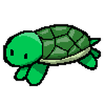 CT Turtle