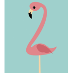 Preppyflamingos