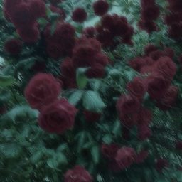 ♡